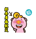 Pig big brother Taiwanese smile（個別スタンプ：16）