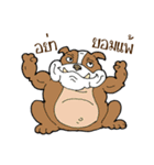 Happy Dog Style（個別スタンプ：7）