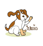 Happy Dog Style（個別スタンプ：8）