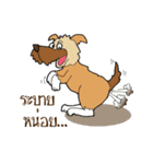 Happy Dog Style（個別スタンプ：14）