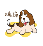 Happy Dog Style（個別スタンプ：15）