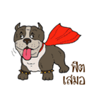 Happy Dog Style（個別スタンプ：18）