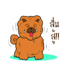 Happy Dog Style（個別スタンプ：19）