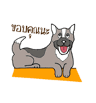 Happy Dog Style（個別スタンプ：22）