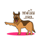 Happy Dog Style（個別スタンプ：23）
