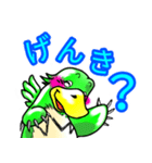 ちゃちゃ丸（個別スタンプ：1）