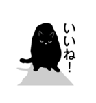 黒ネコは時々2（個別スタンプ：12）
