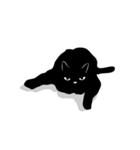 黒ネコは時々2（個別スタンプ：25）