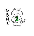しろさんはシュールなネコ（個別スタンプ：24）