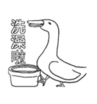 Chicken and Duck life soup - Life (1)（個別スタンプ：21）