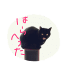【黒猫】クロネコ好きのスタンプ（個別スタンプ：3）