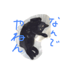 【黒猫】クロネコ好きのスタンプ（個別スタンプ：4）