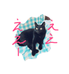 【黒猫】クロネコ好きのスタンプ（個別スタンプ：5）
