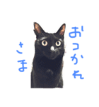 【黒猫】クロネコ好きのスタンプ（個別スタンプ：12）