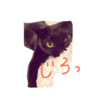 【黒猫】クロネコ好きのスタンプ（個別スタンプ：14）