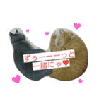 きなこ♀（個別スタンプ：7）