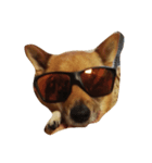 あずき(犬)（個別スタンプ：3）