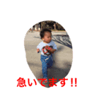 チーファミリー（個別スタンプ：5）