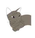 Cat＆Mouse Diard（個別スタンプ：1）