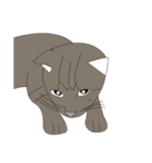 Cat＆Mouse Diard（個別スタンプ：2）
