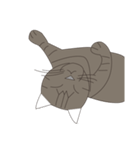 Cat＆Mouse Diard（個別スタンプ：3）