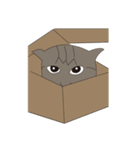 Cat＆Mouse Diard（個別スタンプ：5）