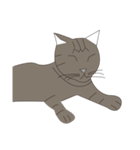 Cat＆Mouse Diard（個別スタンプ：6）