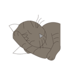Cat＆Mouse Diard（個別スタンプ：8）