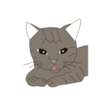 Cat＆Mouse Diard（個別スタンプ：10）