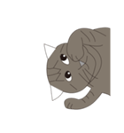 Cat＆Mouse Diard（個別スタンプ：13）