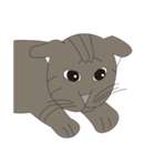 Cat＆Mouse Diard（個別スタンプ：15）