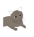 Cat＆Mouse Diard（個別スタンプ：17）