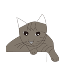 Cat＆Mouse Diard（個別スタンプ：18）
