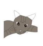 Cat＆Mouse Diard（個別スタンプ：19）
