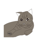 Cat＆Mouse Diard（個別スタンプ：20）