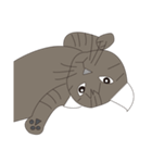 Cat＆Mouse Diard（個別スタンプ：24）