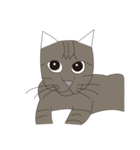 Cat＆Mouse Diard（個別スタンプ：25）