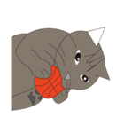 Cat＆Mouse Diard（個別スタンプ：28）