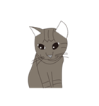 Cat＆Mouse Diard（個別スタンプ：30）