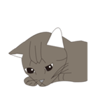 Cat＆Mouse Diard（個別スタンプ：36）