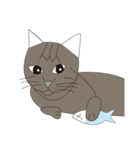 Cat＆Mouse Diard（個別スタンプ：40）