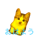 ぷっこ（個別スタンプ：1）