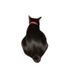 黒猫まぐろちゃん！（個別スタンプ：1）