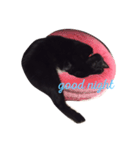 黒猫まぐろちゃん！（個別スタンプ：4）