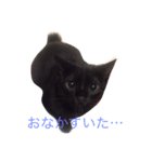 黒猫まぐろちゃん！（個別スタンプ：9）