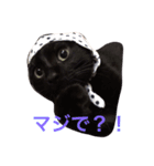 黒猫まぐろちゃん！（個別スタンプ：12）