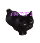 黒猫まぐろちゃん！（個別スタンプ：14）
