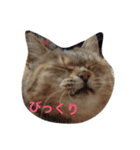 かわいいにゃす（個別スタンプ：1）