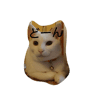 ふくすけと、なかまたち（個別スタンプ：2）