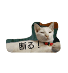 ふくすけと、なかまたち（個別スタンプ：4）